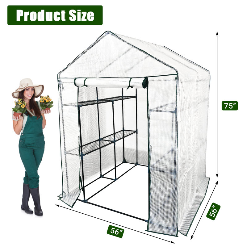 Spacious Walk-In Greenhouse for Outdoor Gardening with 6 Sturdy Shelves, Durable Steel Frame, Roll-Up Zippered Door & Anchors with Ropes for Stability in Garden or Patio, 143x143x195cm (White)