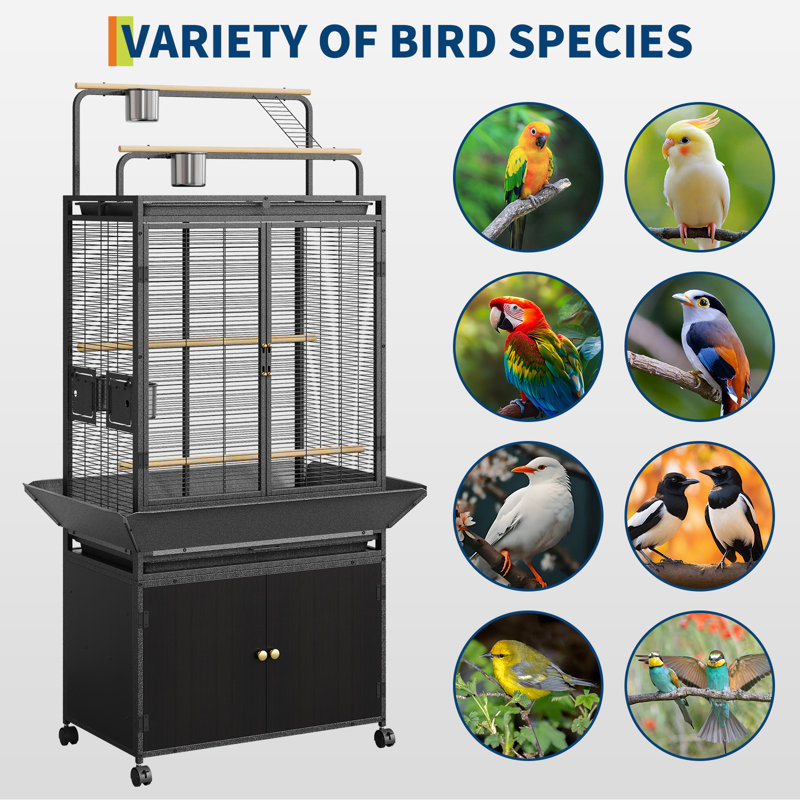 Cage à oiseau 69 po, cage à perruche large pour aras, perruches