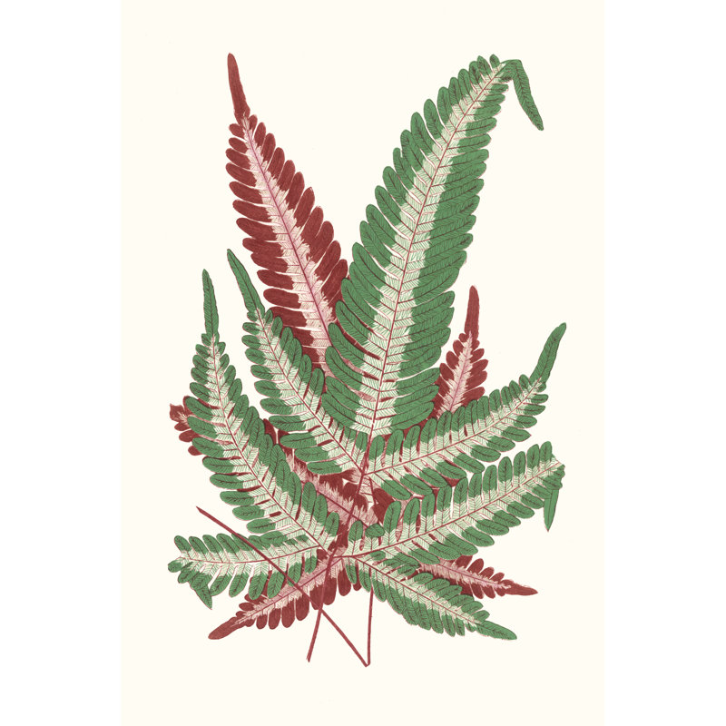 Collected Leaves IV by Vision Studio - Wrapped Canvas Print, 46cm H x 30cm W