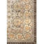 Chateau Oriental Area Rug in Brown-1667717576