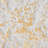 Rug For Bedroom-1403713202