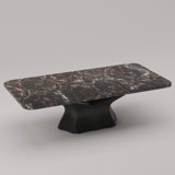 Arboresce Petrified Wood Coffee Table