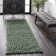 Abbiney Performance Shag Green Rug