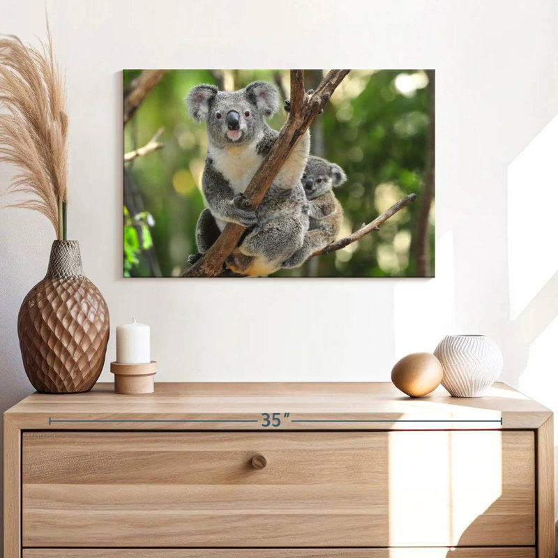 Australian Koala Bears, 34" H x 51" W