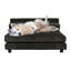 Canapé pour chien Soho-48425309-48425307