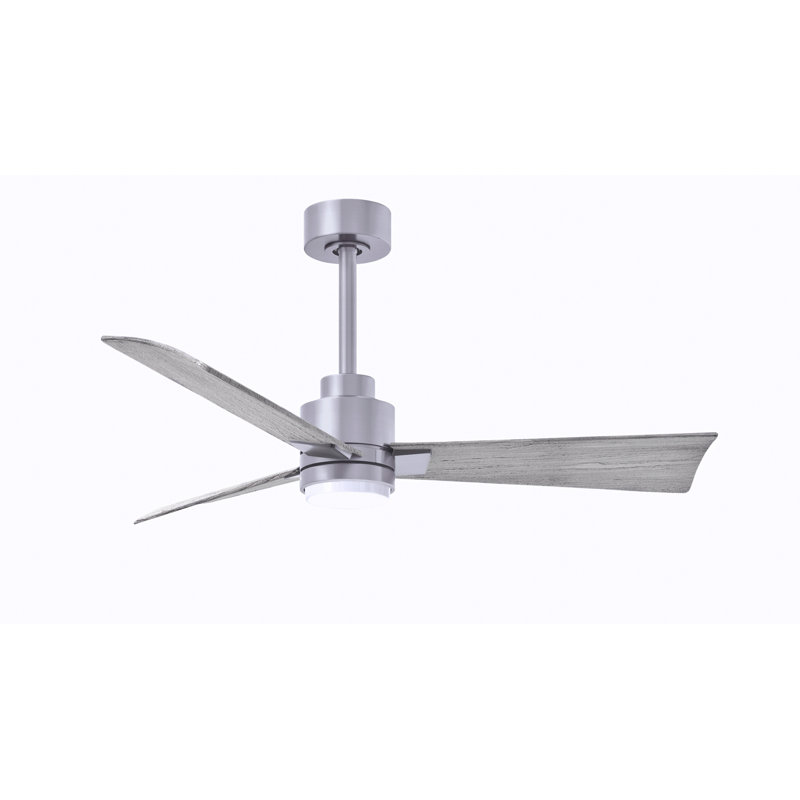 Alessandra Ceiling Fan, Barnwood Tone, Brushed Nickel, 42"