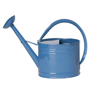  Arrosoir ovale 2,5 gallons