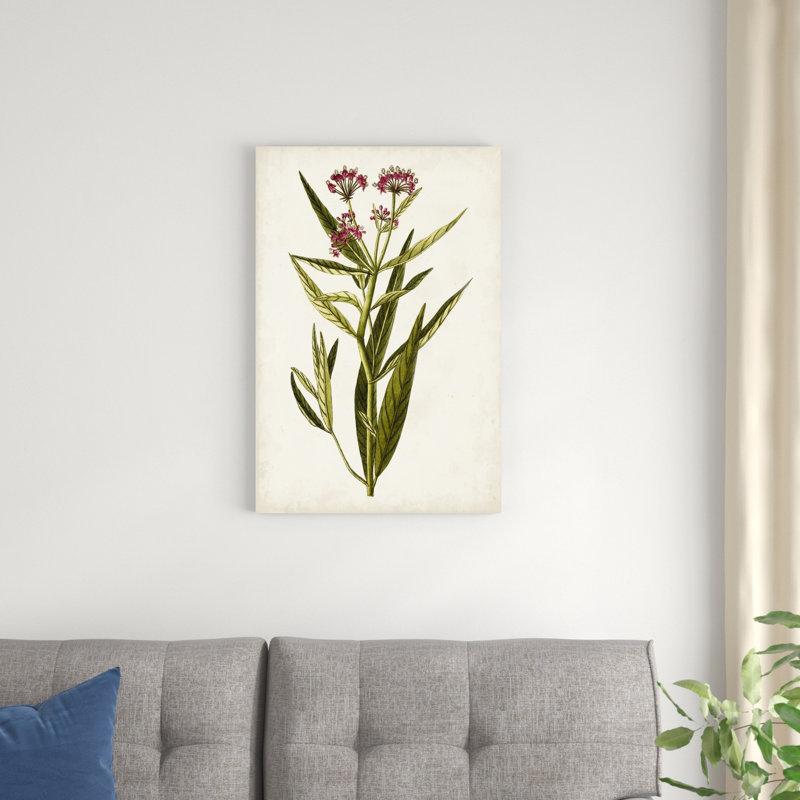 Étude botanique antique, H 30 po x l 20 po x P 1,25 po