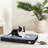 Deanesha Orthopedic Pet Bed-1043454576