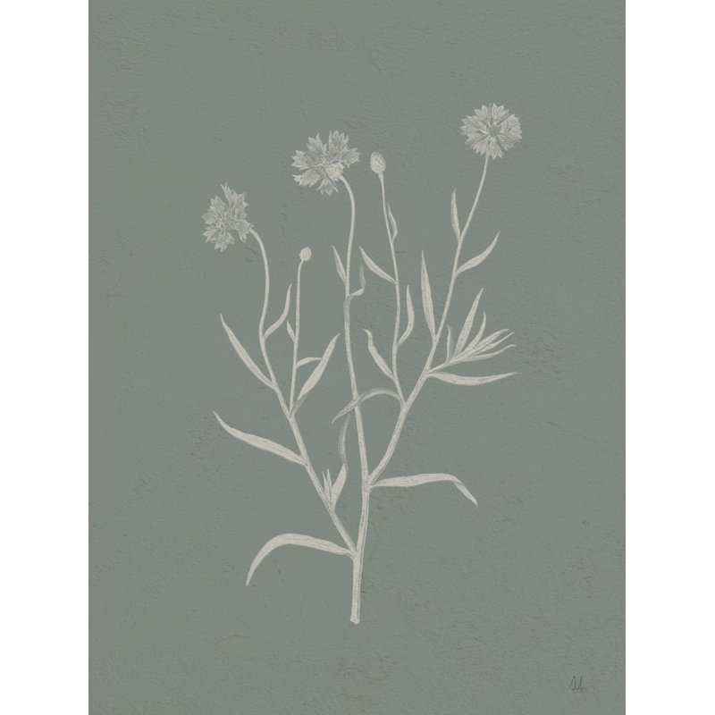 Cadeaux du pré V sauge par Sarah Adams - impression, Non, H 40 po x l 30 po x P 1,25 po, Toile avec cadre doré