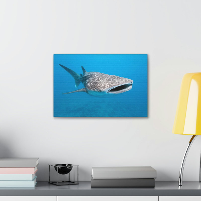«Whale Shark» chasse, requin-baleine à la chasse, reproduction d'art mural, H 12 po x l 16 po