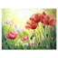 «Blossoming Poppies In The Morning I», peinture sur toile-60159921-60159920