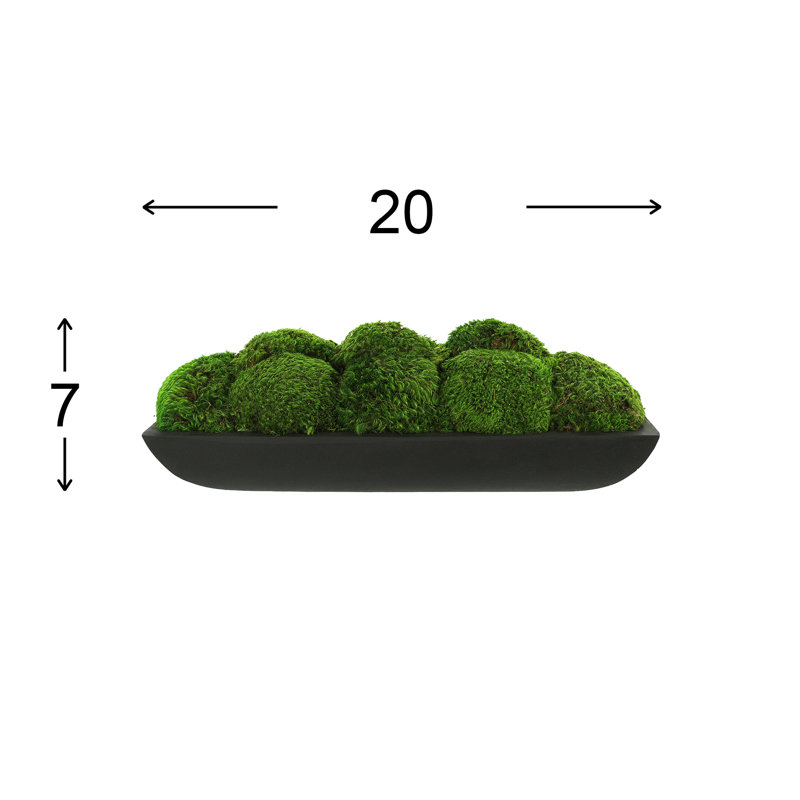 Moss Preserved in Oblong Planter, 7" H x 19.5" W x 7.5" D