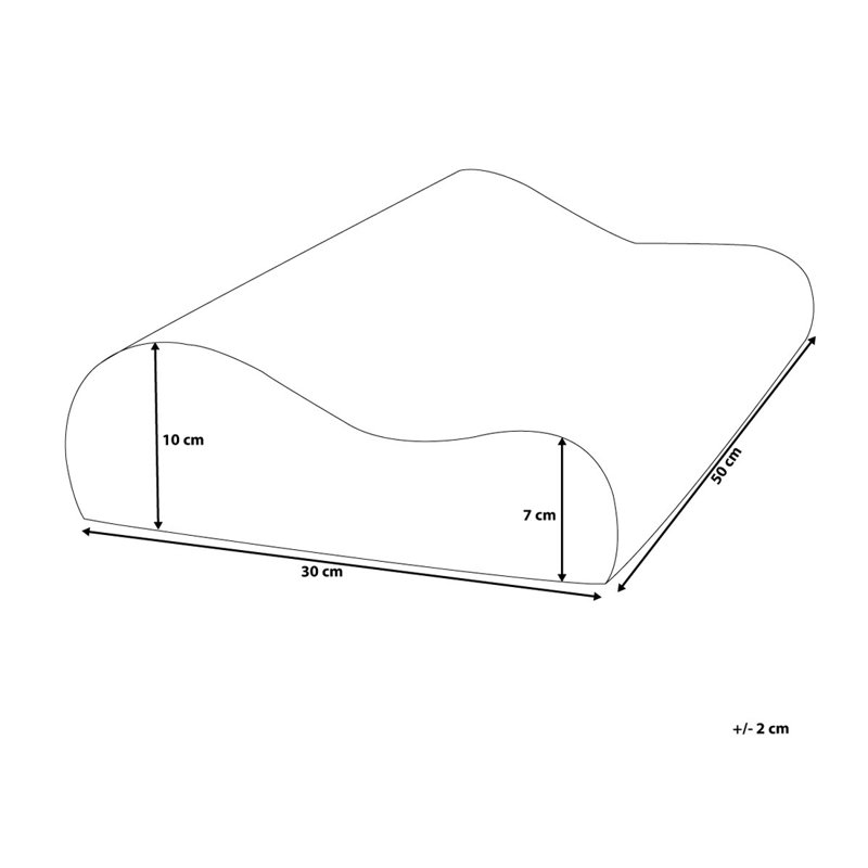 Borset L50 x W30cm Pillow