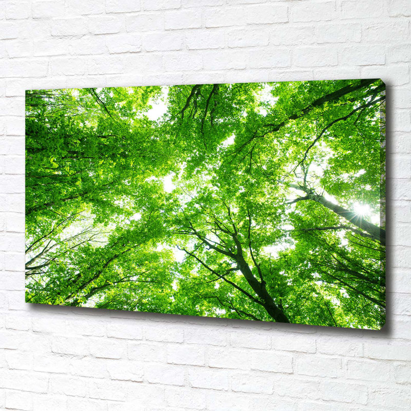 Green Forest - Wrapped Canvas Print
