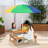 Callicoon Kids 2 Piece Solid Wood Rectangular Outdoor Table Or Chair and Chair Set