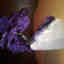 Customer photo 2 of 3