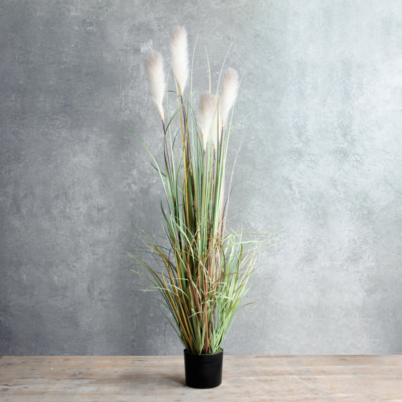 Faux Pampas Grass Grass in Pot, 120cm H x 45cm W x 45cm D