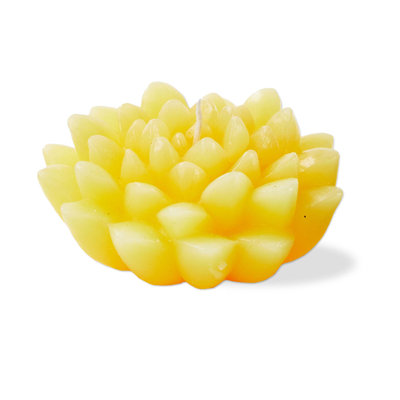  Blossom Flower Shaped Novelty Paraffin Wax Candle Coral Burn Time 2.5 hours