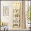 Vitrine d'angle vitrée d'angle pour vitrine d'angle-280107250