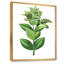 «Leaves Plants VI», reproduction sur toile flottante-59637330-59637333