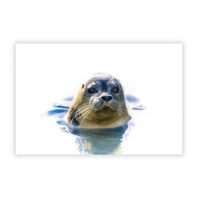 Grey Seal - Frameless Print