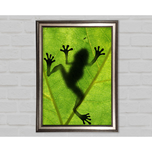 Making Frog Shadow Bay Isle Home Frog Shadow - Single Picture Frame Art Prints | Wayfair.co.uk