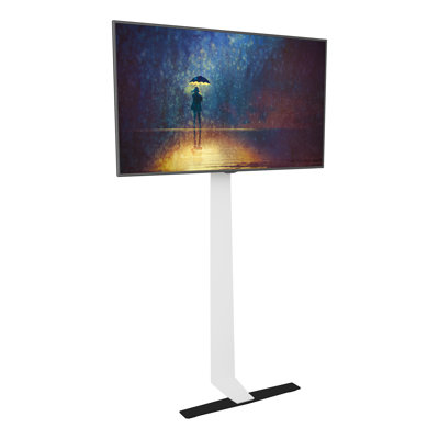 Hartshorne Ebern Designs Multi-Screen Floor Stand Mount