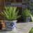 Lewistown Ceramic Flower Pot-970992642