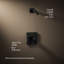 Parallel Shower Trim Set-1933898146