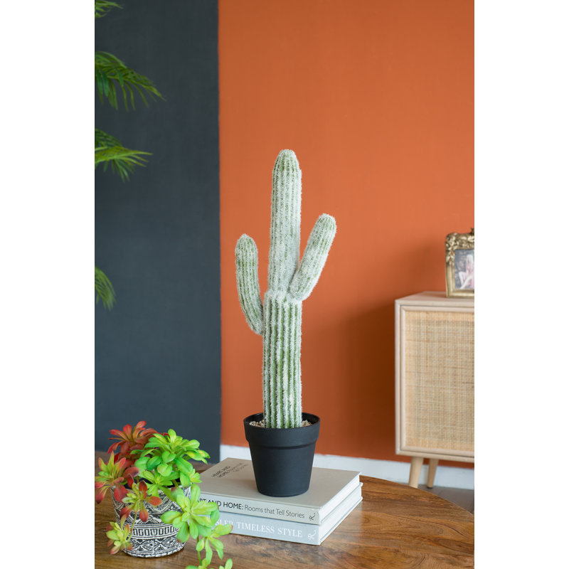 Cactus artificiel en pot Mari, H 24,5 po x l 8 po x P 5 po