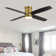 Bonnitta 52'' Ceiling Fan with LED Lights