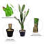 Cactus artificiel en pot-515654071