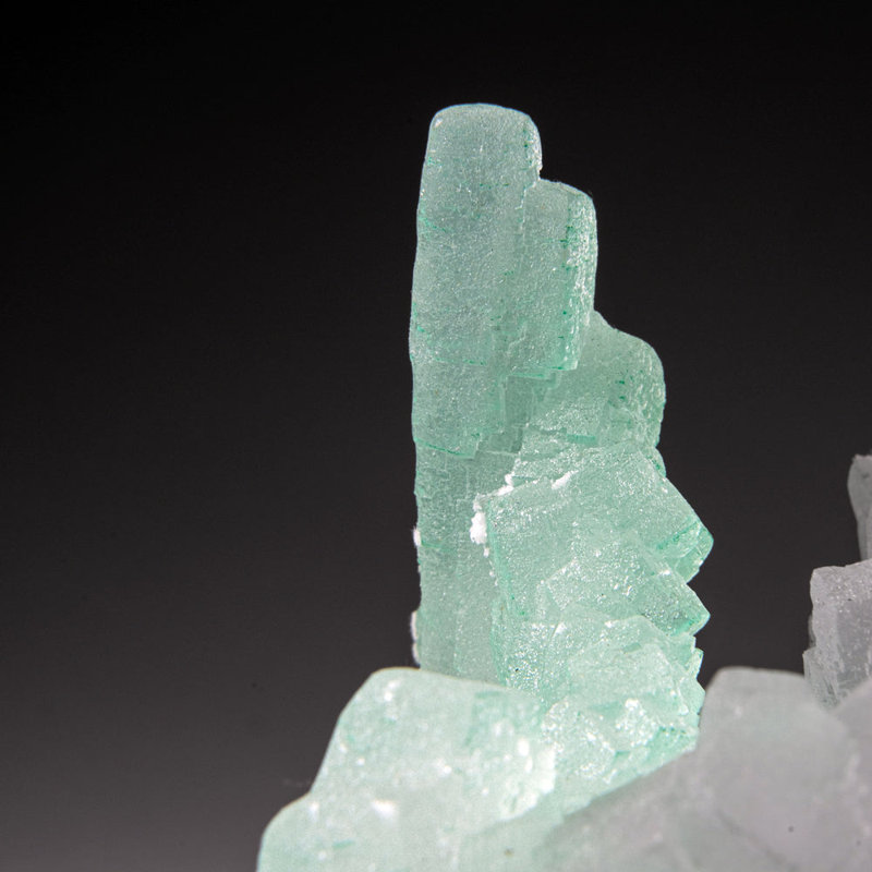 Vert Halite