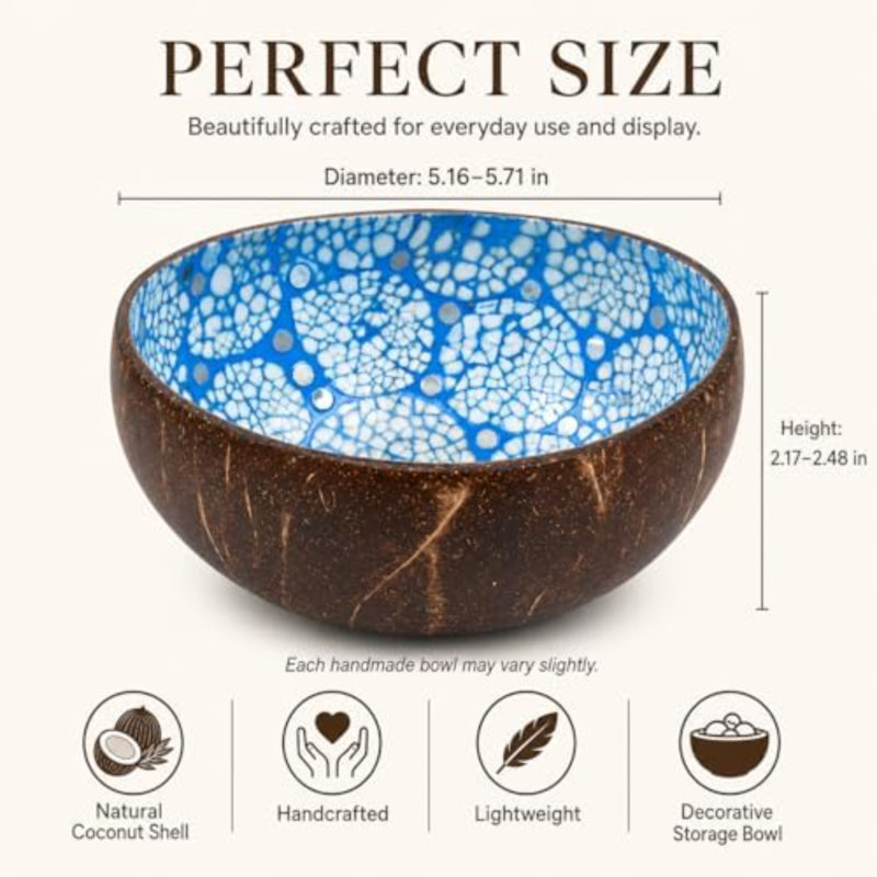 Natural Natural Coconut Bowl
