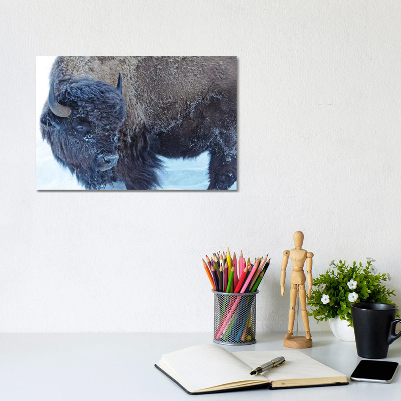 Winter Bison by Brian Wolf - Wrapped Canvas Print, 20.32cm H x 30.48cm W x 1.91cm D