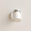 Lacey Spotlight-28666581-28666579