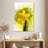 Harnek Daffodil Flower-108482225