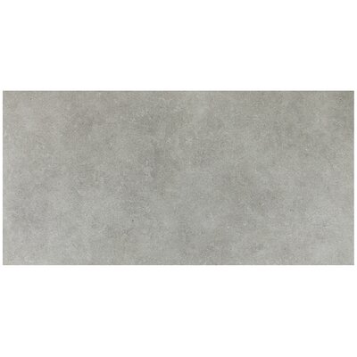 Haut Monde 24"" x 48"" Porcelain Concrete Look Floor Use Tile -  Daltile, HM0324481PK