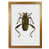 Honey Oak Frame is unavailable