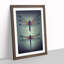 Spellbounding Dragonflies - Framed Print-99526902-99526900