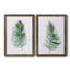 «Sage Frond I», ensemble de 2 peintures sur toile encadrées-1281412202-1281412205