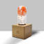 Lampe de table en bois 6,3 po