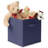 Collapsible Fabric Cubes, 11" Storage Bins (Set of 12)-2062282693