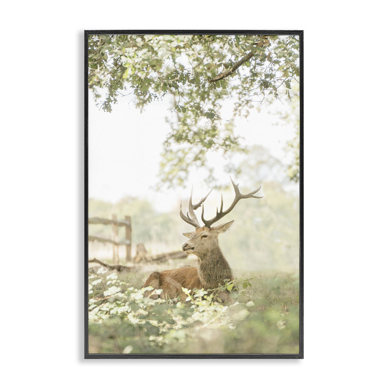 Giclée encadrée par un cerf à queue blanche, conception par Leah Straatsma, H 18 po x l 12 po, Giclée encadrée noir minuit