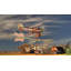 Girouette biplane avec flèche de style maison-21018864