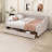 Full Upholstered Daybed with Two Drawers-1567049690