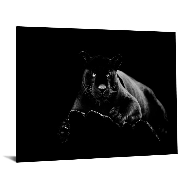 Art mural en verre trempé sans cadre Black Panther - 40 po x 60 po