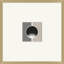 Coined Stripe 4 Print by Thom Filicia