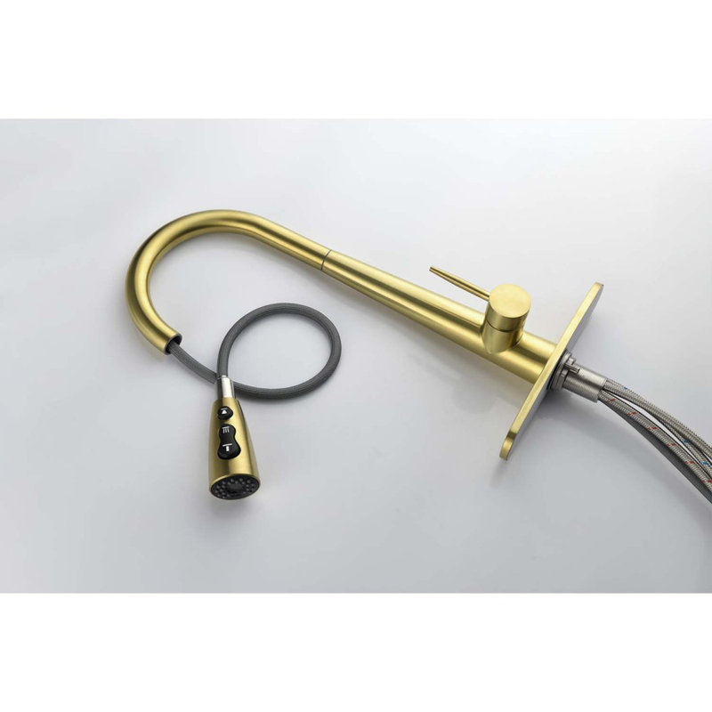 Single Handle Stainlesaucet With Pull Down Sprayer, Brushed Gold